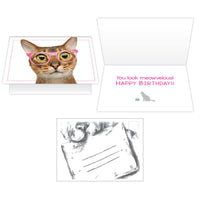 Thumbnail for Birthday Cat -You Look  Meowvelous