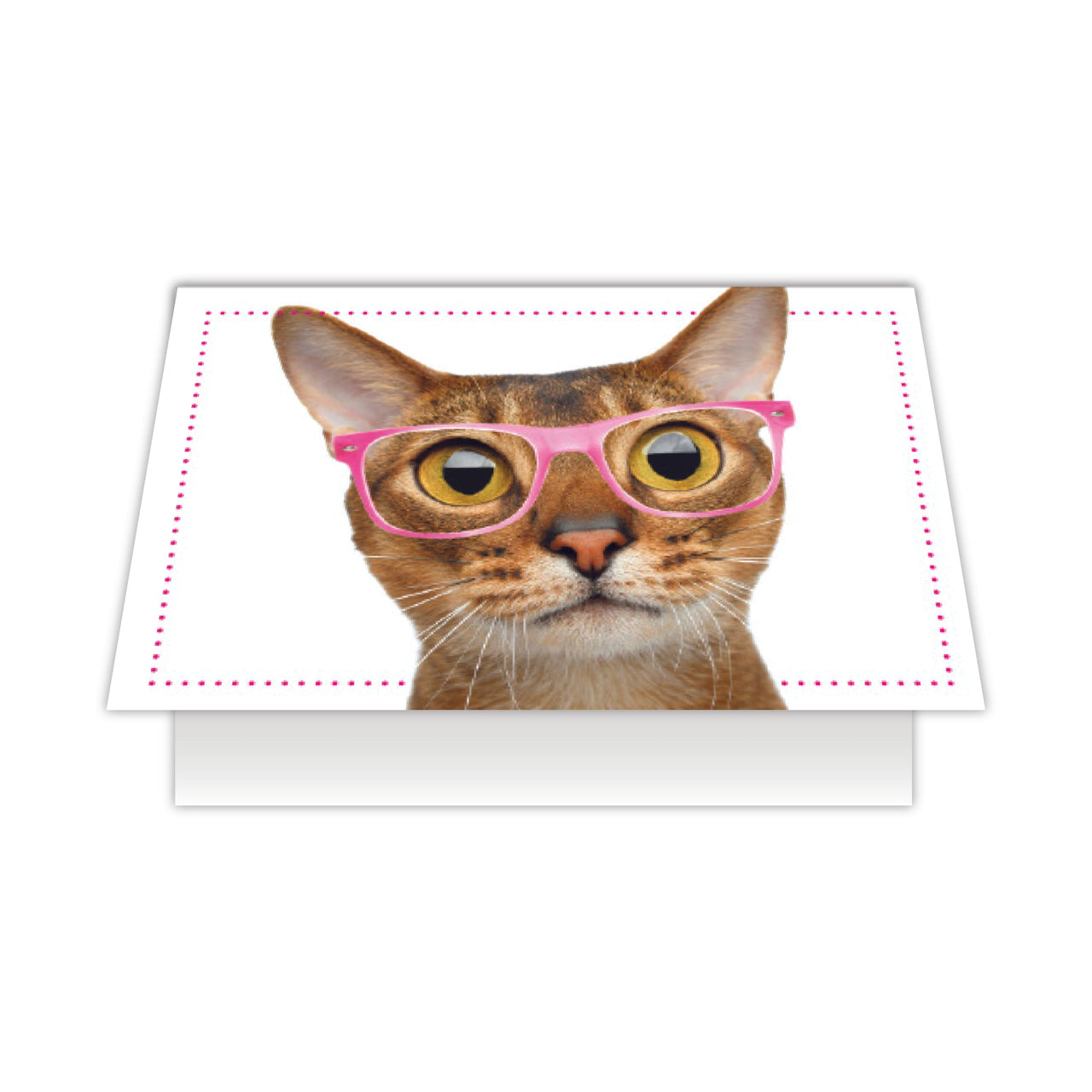 Birthday Cat -You Look  Meowvelous
