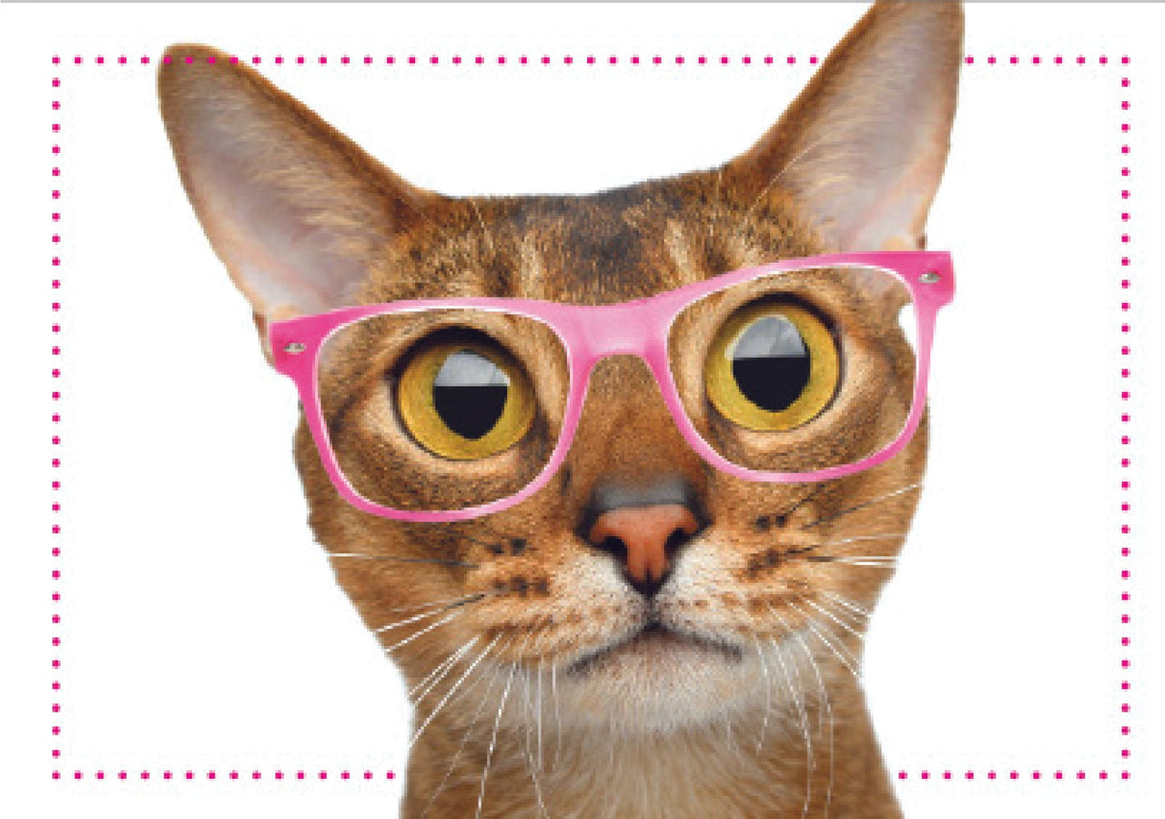 Birthday Cat -You Look  Meowvelous