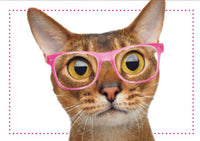 Thumbnail for Birthday Cat -You Look  Meowvelous