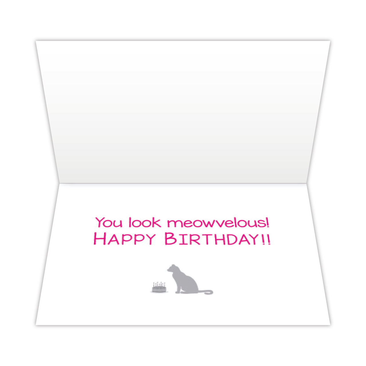 Birthday Cat -You Look  Meowvelous
