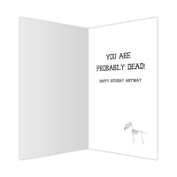 Thumbnail for Birthday - In Dog Years...