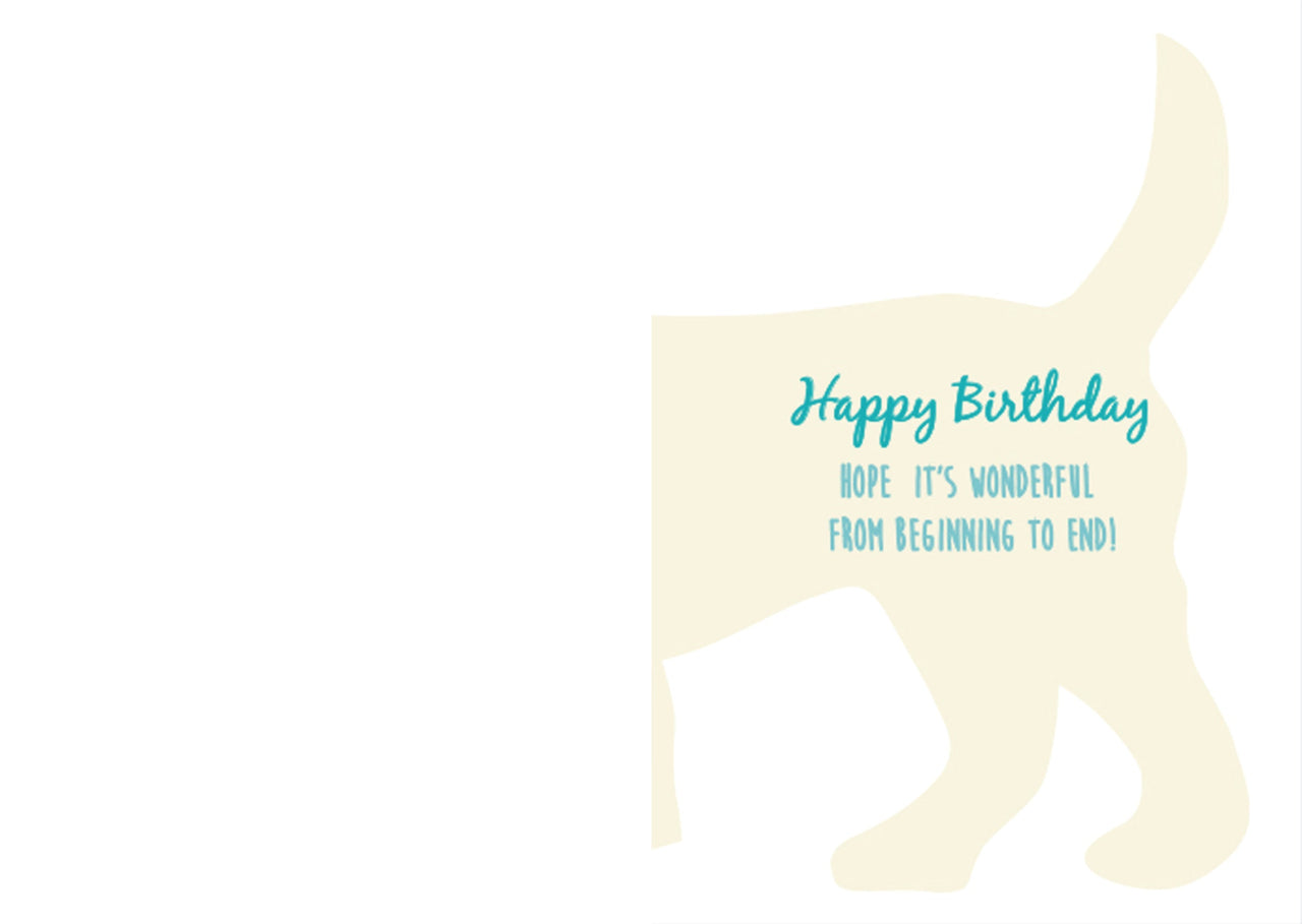 Birthday - Happiness Starts With A Wet Nose...