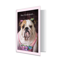 Thumbnail for Birthday - You Still Rock It!