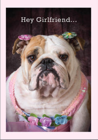 Thumbnail for Birthday - You Still Rock It!