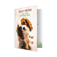 Thumbnail for Birthday - BAD NEWS I ate your birthday card
