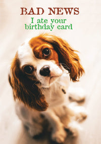 Thumbnail for Birthday - BAD NEWS I ate your birthday card