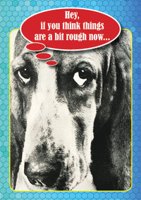 Thumbnail for Birthday - Hey, if you think things are a bit rough now...