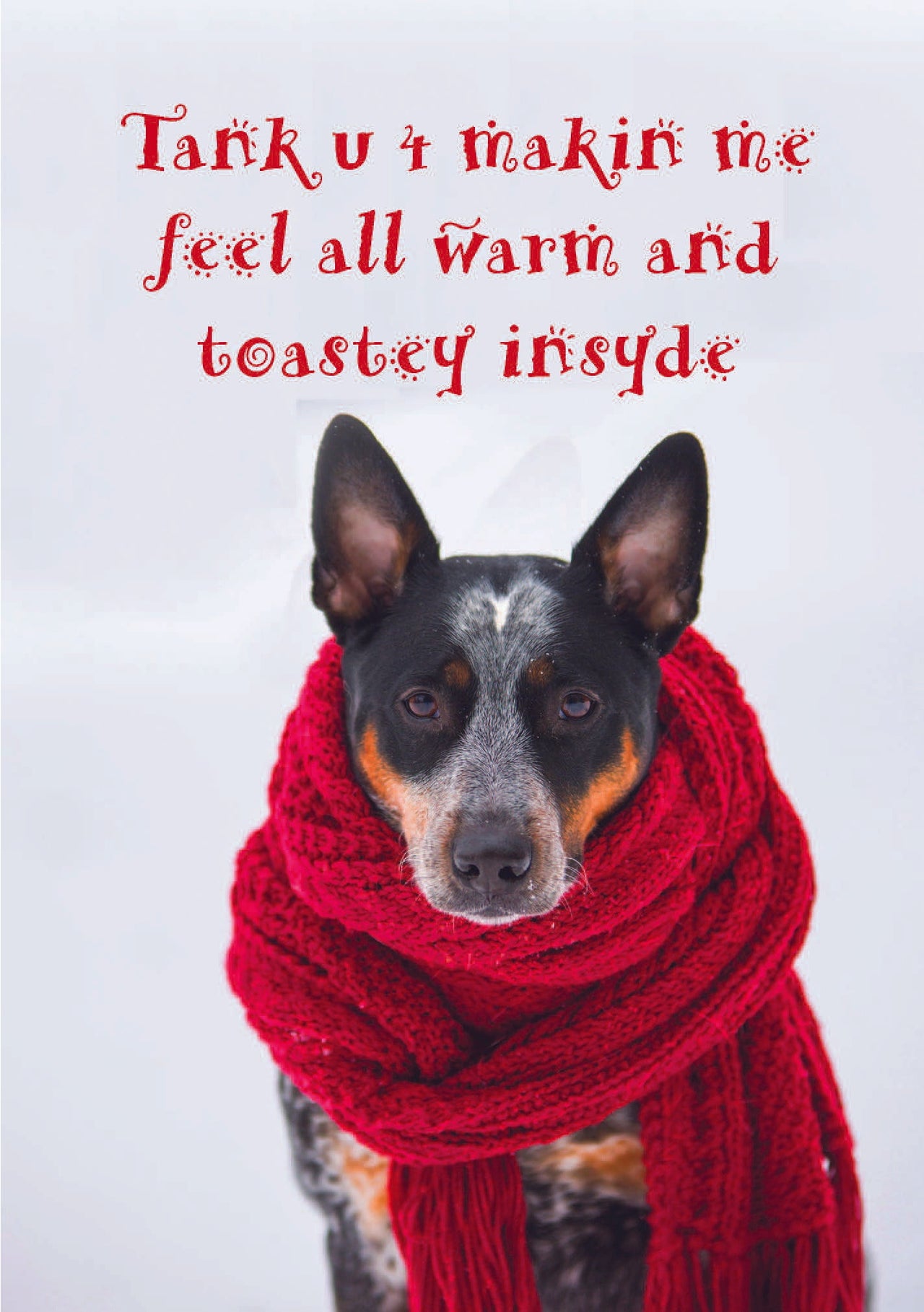 Pet Sitter - Tank U 4 makin me feel all warm and toastey insyde