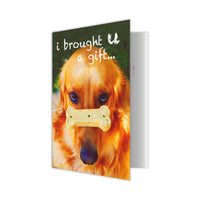Thumbnail for Pet Sitter - i brought U a gift...