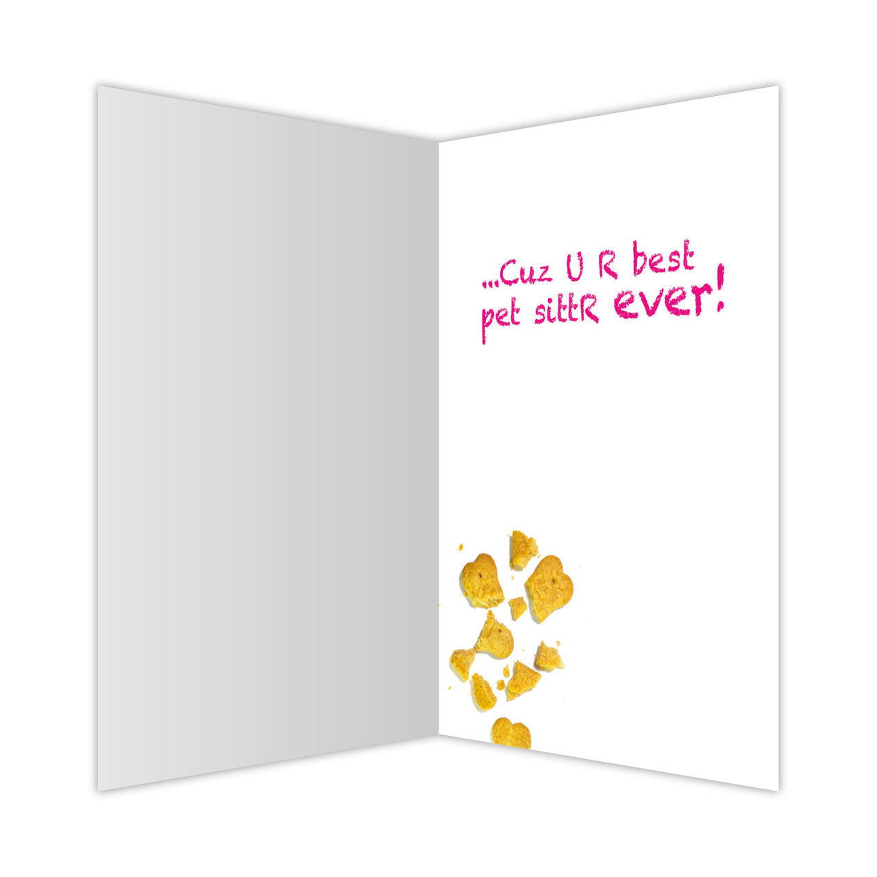 Pet Sitter - i brought U a gift...
