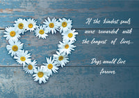 Thumbnail for 8210 Dog Sympathy Card Front