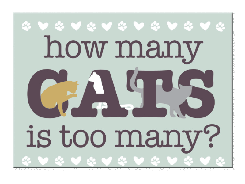 Standard Magnet - How Many Cats...