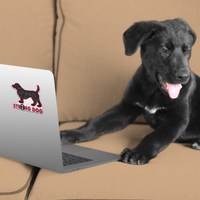Thumbnail for Strong Dog 3