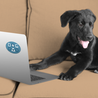 Thumbnail for Dog Dad 3” Sticker