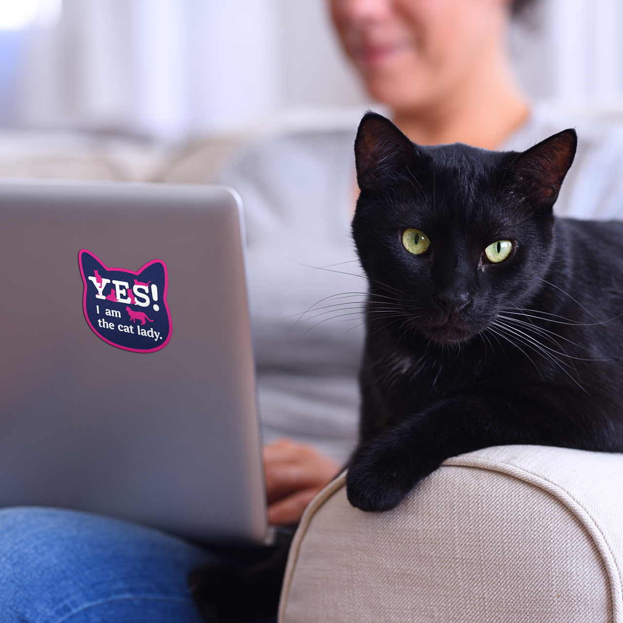Yes! I am the Cat Lady.  3” Sticker