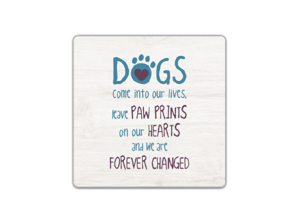 Absorbent Stone Coaster Assortment w/ Display!